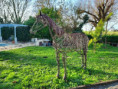 /album/moragne-le-4-decembre-2024/img-20241205-wa0001-jpg/
