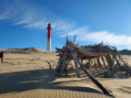 /album/la-palmyre-la-foret-de-la-coubre/img-20241213-wa0023-jpg/