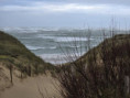 /album/ars-en-re-le-9-janvier-2025-suite/img-20250110-wa0055-jpg/