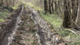 /album/dampierre-sur-boutonne-le-19-mars-2025/img-20250320-wa0016-jpg/
