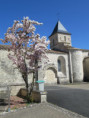 /album/sciecq-le-10-avril-2025/img-7941-jpg/