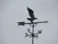 /album/charron-le-4-juin-2025/img-8624-jpg/