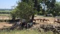 /album/charron-le-18-juin-2025/img-20250619-wa0001-jpg/