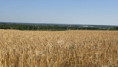 /album/charron-le-18-juin-2025/img-20250619-wa0002-jpg/
