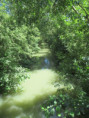 /album/arcais-le-10-juillet-2025/img-9282-jpg/