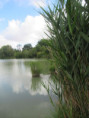 /album/lac-de-frace-le-16-juillet-2025/img-9333-jpg/