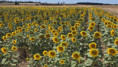 /album/saint-christophe-le-23-juillet-2025/img-20250724-wa0023-jpg/