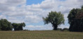 /album/petit-gaillard-le-30-juillet-2025/img-20250731-wa0021-jpg/