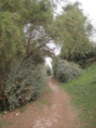 /album/les-boucholeurs-10-septembre-2025/p9100017-jpg/