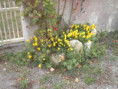 /album/les-boucholeurs-10-septembre-2025/p9100020-jpg/