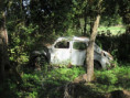 /album/torxe-le-1er-octobre-2025/img-0687-jpg/