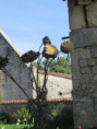 /album/torxe-le-1er-octobre-2025/img-0692-jpg/