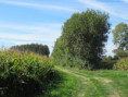 /album/torxe-le-1er-octobre-2025/img-0700-jpg/