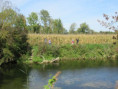 /album/torxe-le-1er-octobre-2025/img-0702-jpg/