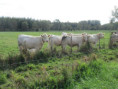 /album/torxe-le-1er-octobre-2025/img-0724-jpg/