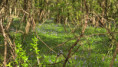 /album/courcon-le-25-mars-2026/img-20260326-wa0005-jpg/