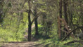 /album/courcon-le-25-mars-2026/img-20260326-wa0007-jpg/