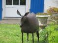 /album/la-gripperie-saint-symphorien-le-2-avril-2026/img-2854-jpg/