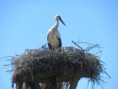/album/hiers-le-8-avril-2026/img-2928-jpg/