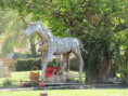 /album/hiers-le-8-avril-2026/img-2945-jpg/