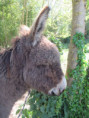 /album/hiers-le-8-avril-2026/img-2957-jpg/