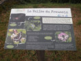 /album/beurlay-le-29-avril-2026/p4290019-jpg/