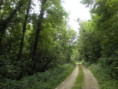 /album/beurlay-le-29-avril-2026/p4290023-jpg/