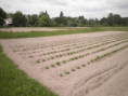 /album/beurlay-le-29-avril-2026/p4290028-jpg/