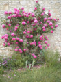/album/beurlay-le-29-avril-2026/p4290030-jpg/
