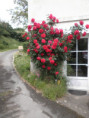 /album/beurlay-le-29-avril-2026/p4290034-jpg/