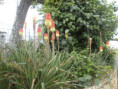 /album/beurlay-le-29-avril-2026/p4290039-jpg/