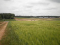 /album/beurlay-le-29-avril-2026/p4290044-jpg/