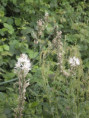/album/beurlay-le-29-avril-2026/p4290049-jpg/