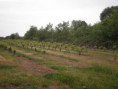 /album/beurlay-le-29-avril-2026/p4290054-jpg/