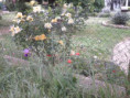 /album/beurlay-le-29-avril-2026/p4290056-jpg/