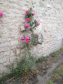 /album/beurlay-le-29-avril-2026/p4290064-jpg/
