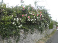 /album/beurlay-le-29-avril-2026/p4290067-jpg/