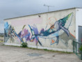 /album/belvedere-le-6-mai-2026/img-3153-jpg/
