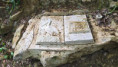 /album/montheraut-le-6-mai-2026/img-20260507-wa0004-jpg/