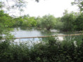 /album/sireuil/img-3319-jpg/