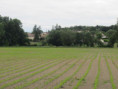 /album/sireuil/img-3334-jpg/