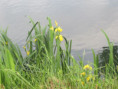 /album/sireuil/img-3339-jpg/