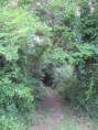 /album/sireuil/img-3354-jpg/