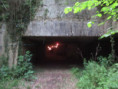 /album/sireuil/img-3356-jpg/