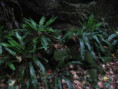 /album/sireuil/img-3363-jpg/