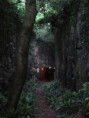 /album/sireuil/img-3364-jpg/