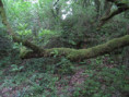 /album/sireuil/img-3366-jpg/