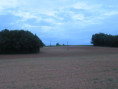 /album/sireuil/img-3367-jpg/
