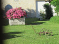 /album/jazennes/img-3565-jpg/