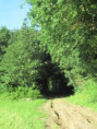 /album/jazennes/img-3583-jpg/